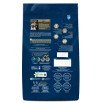 ORE_CAES_FILHOTES_BULLDOG_FRANCES_PUG_VERSO