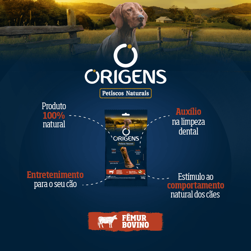 03604_arte_origens_petisco_naturais_1080x1080_femur